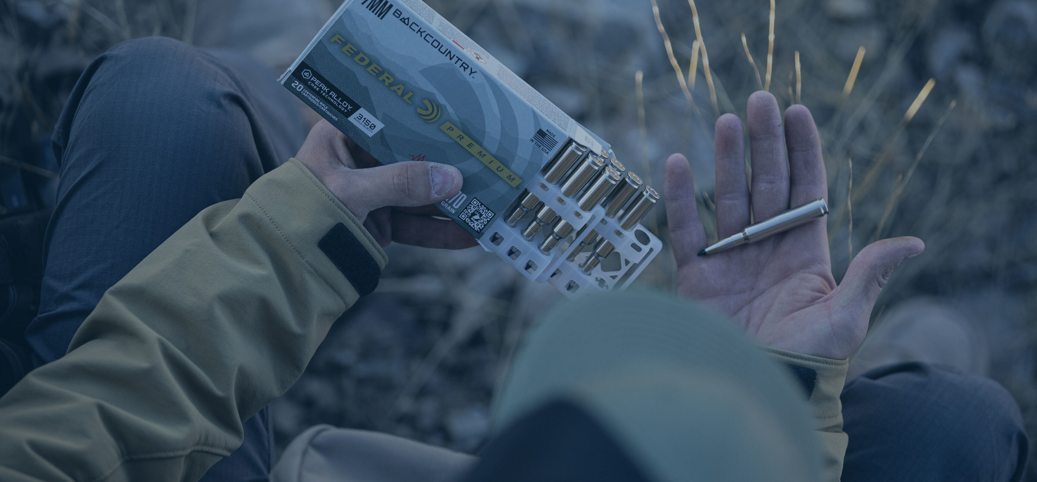 Federal Homepage banner