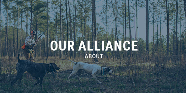 Banner Image - Mobile